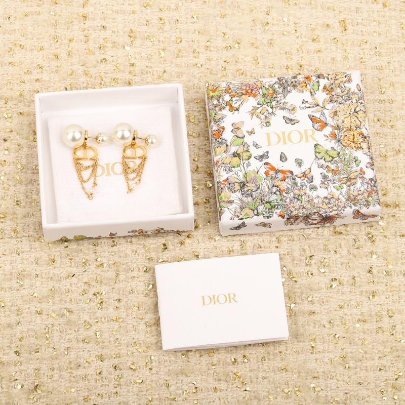 Christian Dior Earrings